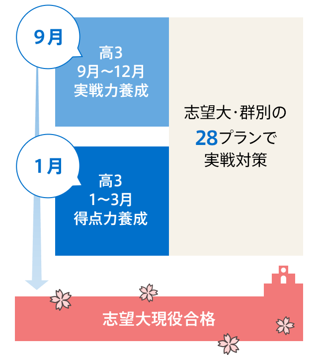 志望大レベルに合わせて取り組むべき問題にしぼって、最適な教材をお届けします。そのため、教材の内容がプランによって異なります。さらに、高3・9月からはより本番に近い対策を行うため、志望大・群別の28プランに進化。志望大合格に向けて一切の無駄をなくせます。