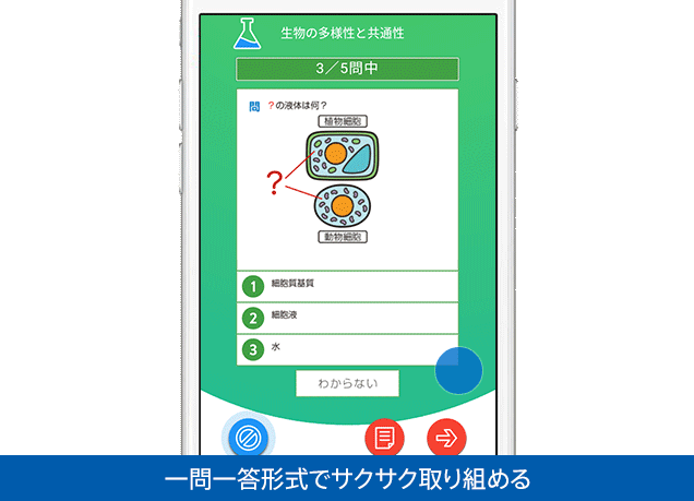 見本を見る