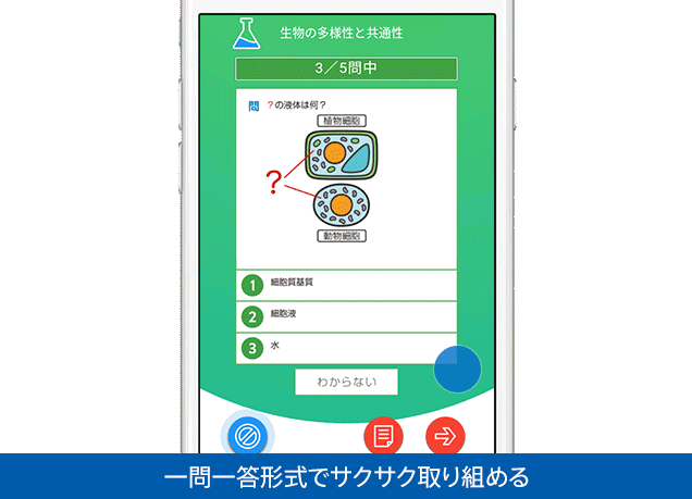見本を見る