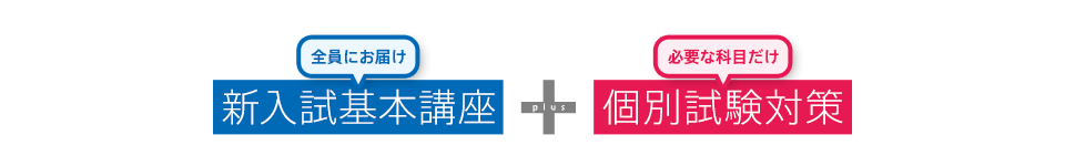 全員にお届け 新入試基本講座 plus 必要な科目だけ 個別試験対策