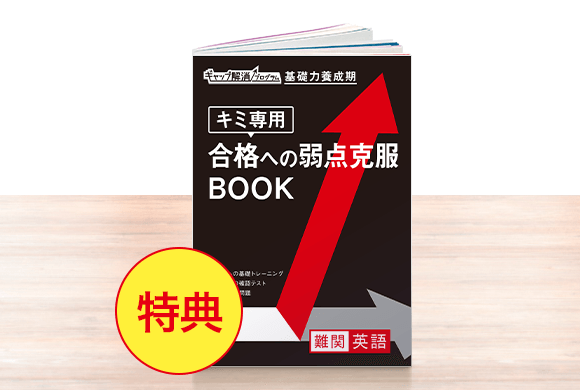 ベネッセ 進研ゼミ 高校講座 3年生 4月〜2月号 共通テスト練習 4回分