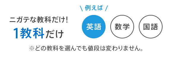 ニガテな教科だけ! 1教科だけ ※どの教科を選んでも値段は変わりません。
