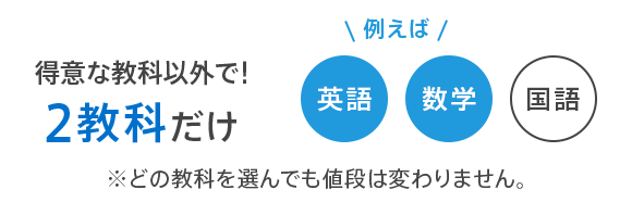 得意な教科以外で! 2教科だけ ※どの教科を選んでも値段は変わりません。