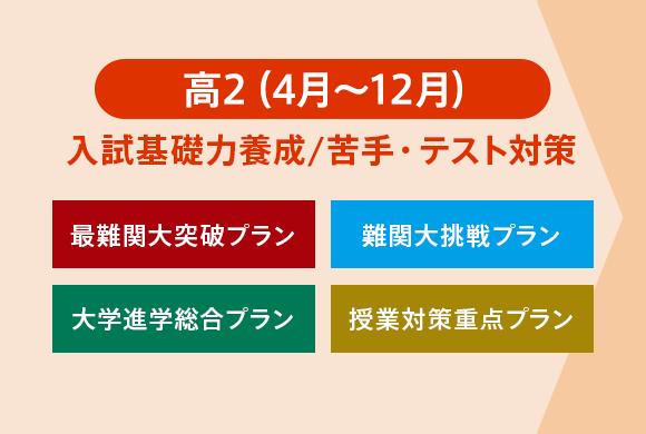 進研ゼミ高校講座国語大学進学総合プラン3年分 cyberprint.co.jp