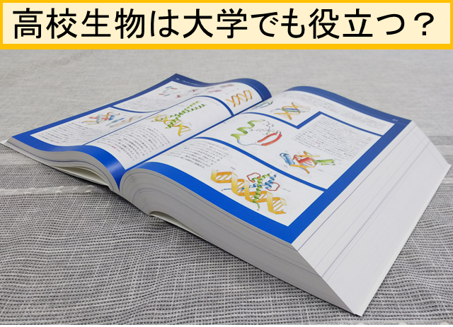 高校生物の用語 大学でも役立つか調べてみた 高校生３分ニュース 進研ゼミ高校講座