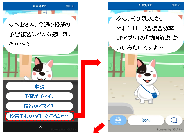 たま丸としゃべると勉強がはかどる おしゃべり機能解禁 高校生３分ニュース 進研ゼミ高校講座