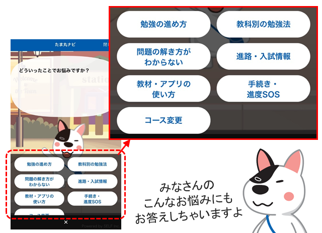 たま丸としゃべると勉強がはかどる おしゃべり機能解禁 高校生３分ニュース 進研ゼミ高校講座