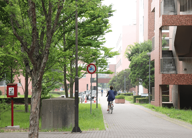 東京ドーム55個分 筑波大学を歩いて１周してみた 高校生３分ニュース 進研ゼミ高校講座