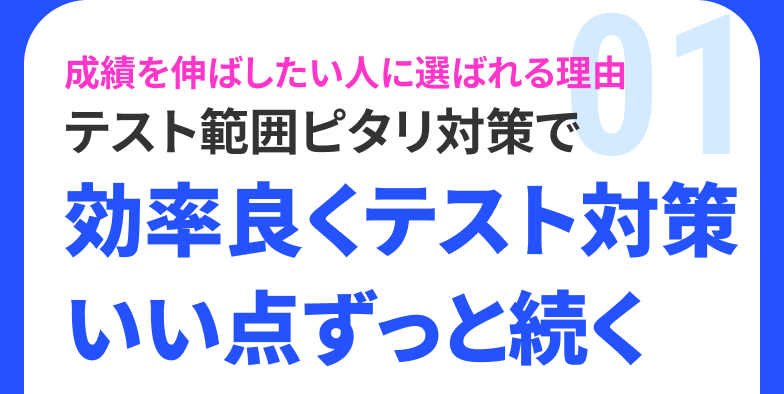 成績を伸ばしたい人に選ばれる理由 テスト範囲ピタリ対策で 効率良くテスト対策いい点ずっと続く