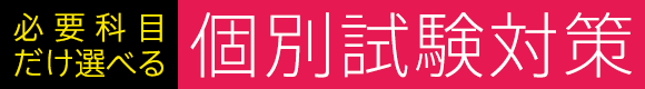 必要科目だけ選べる 個別試験対策