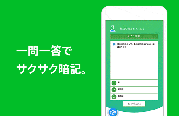一問一答でサクサク暗記。