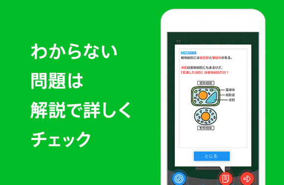 わからない問題は解説で詳しくチェック