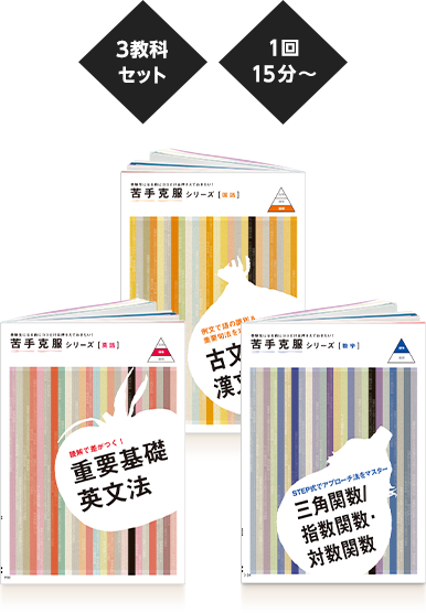 1月号でお届け 志望大レベル別 1回15分~