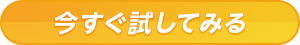 今すぐ試してみる ボタン