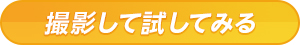 撮影して試してみる ボタン
