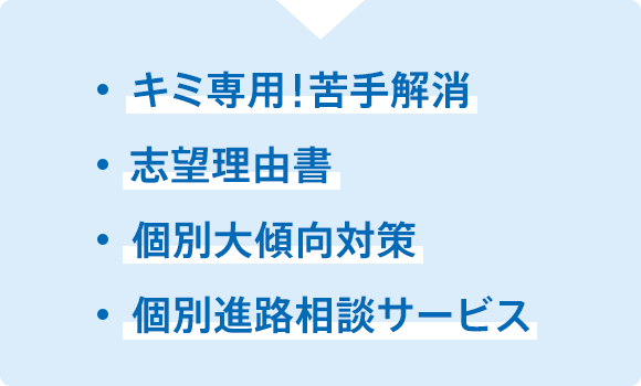 キミ専用!苦手解消 志望理由書 個別大傾向対策 個別進路相談サービス