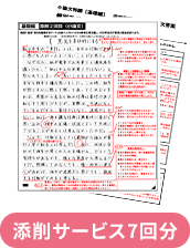 進研ゼミ　小論文特講 小論文特講｜進研ゼミ高校講座｜ベネッセコーポレーション